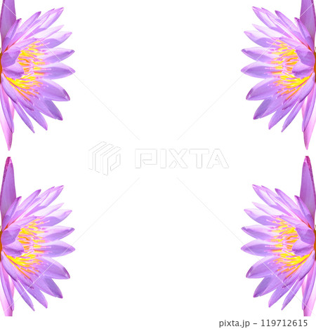 Lotus flowers isolated on white. Collage. Free space for text. Lotus flowers isolated on white. Collage. Free space for text. 119712615