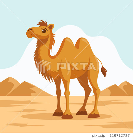 Cute two-humped camel in desert landscape. Flat style illustration. 119712727