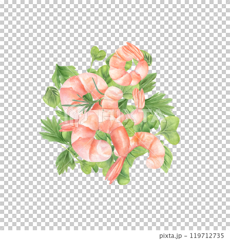 Boiled tasty pink shrimps on micro greens hand drawn watercolor illustration. Seafood, parsley leaves, oregano and rosemary ingredient salad for healthy eating. For recipe, cookbook design Boiled tasty pink shrimps on micro greens hand drawn watercolor illustration. Seafood, parsley leaves, oregano and rosemary ingredient salad for healthy eating. For recipe, cookbook design 119712735