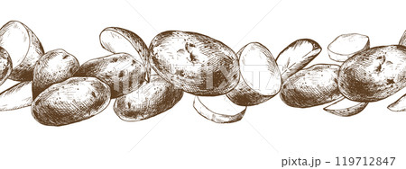 Potatoes whole, half, cut, peeled and wedges seamless border. Graphic illustration hand drawn in brown ink. EPS vector on the theme of harvest cooking, food, packaging, vegetable shop design 119712847