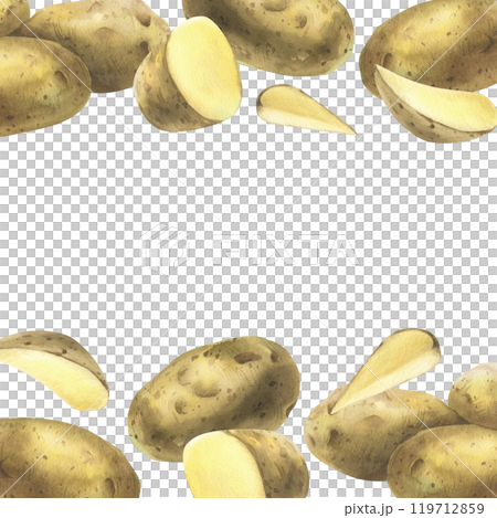 White potatoes whole, half, cut, peeled and wedges. Watercolor hand drawn illustration on the theme of harvesting, cooking, food, vegetable shop design. Square frame template border White potatoes whole, half, cut, peeled and wedges. Watercolor hand drawn illustration on the theme of harvesting, cooking, food, vegetable shop design. Square frame template border 119712859