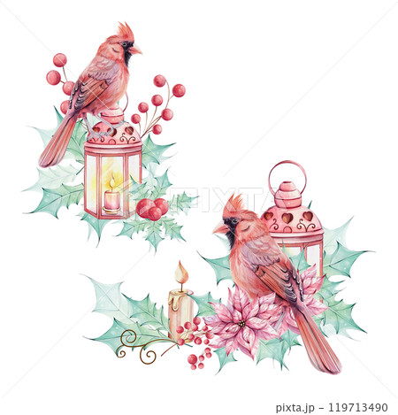 Watercolor set - Christmas bird red cardinal, berries, lantern, poinsettia flowers bouquet with holly green leaves. Arrangement with brunch. Border, ornament. Symbol of Christmas. Winter holiday 119713490