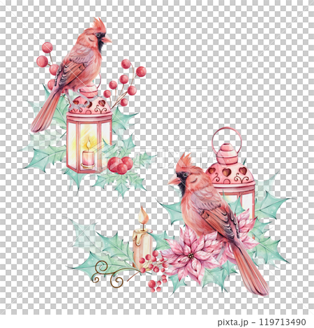 Watercolor set - Christmas bird red cardinal, berries, lantern, poinsettia flowers bouquet with holly green leaves. Arrangement with brunch. Border, ornament. Symbol of Christmas. Winter holiday 119713490