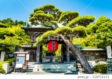 Hasedera temple in Kamakura, Japan Hasedera temple in Kamakura, Japan 119714111