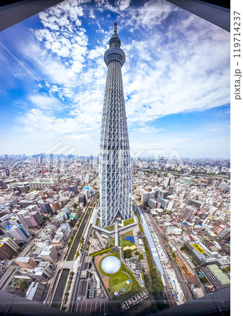 View of Tokyo SkyTree in Sumida City, Tokyo, Japan 119714237