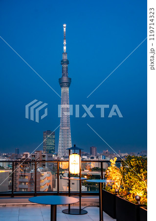 View of Tokyo SkyTree in Sumida City, Tokyo, Japan 119714323