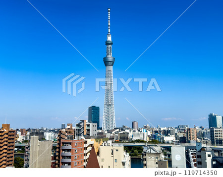 View of Tokyo SkyTree in Sumida City, Tokyo, Japan 119714350