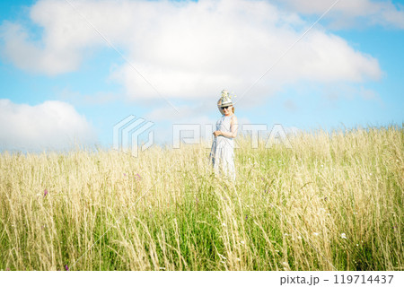 Summer field Summer field 119714437