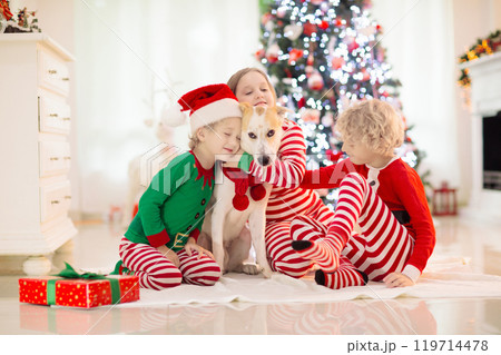Christmas at home. Kids and dog under Xmas tree. 119714478