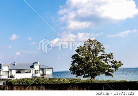Expensive apartment building with sea view 119715122