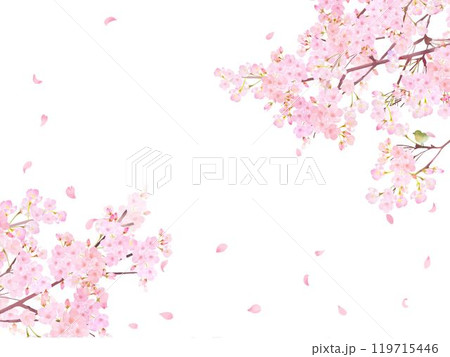 ウグイスのいる桜の木ー美しい薄いピンク色の桜の花と花びら春の水彩白バックフレーム背景素材イラスト ウグイスのいる桜の木ー美しい薄いピンク色の桜の花と花びら春の水彩白バックフレーム背景素材イラスト 119715446