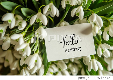 Fresh snowdrops with 'hello spring' card...のイラスト素材 [119715652] - PIXTA