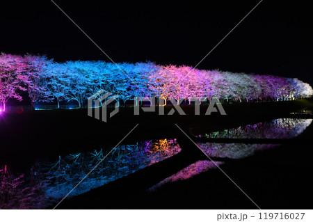 湧水町の桜並木 119716027