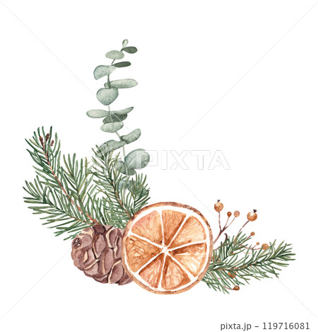 Christmas Corner Composition with Winter plants. Fir Branches, Eucalyptus, Pine Cone and dry Orange slice. Hand drawn Botanical illustration isolated on white background. For Cards and Prints. Christmas Corner Composition with Winter plants. Fir Branches, Eucalyptus, Pine Cone and dry Orange slice. Hand drawn Botanical illustration isolated on white background. For Cards and Prints. 119716081