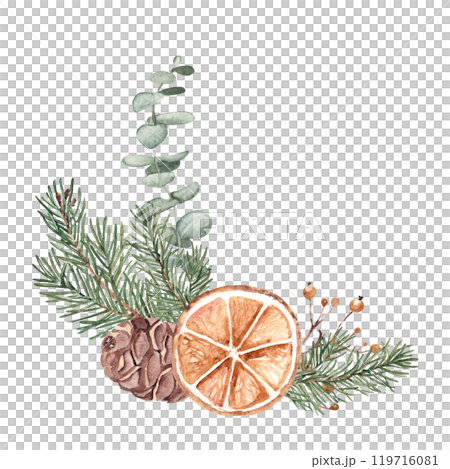 Christmas Corner Composition with Winter plants. Fir Branches, Eucalyptus, Pine Cone and dry Orange slice. Hand drawn Botanical illustration isolated on white background. For Cards and Prints. Christmas Corner Composition with Winter plants. Fir Branches, Eucalyptus, Pine Cone and dry Orange slice. Hand drawn Botanical illustration isolated on white background. For Cards and Prints. 119716081