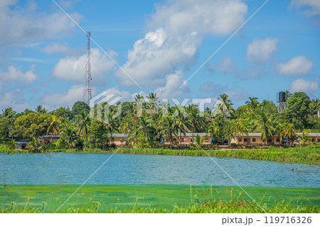 traditional Malaysian landscape along the road. Palm trees and power poles traditional Malaysian landscape along the road. Palm trees and power poles 119716326