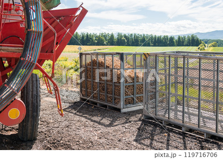 【美瑛町　ジャガイモの収穫とトラクター】 119716706