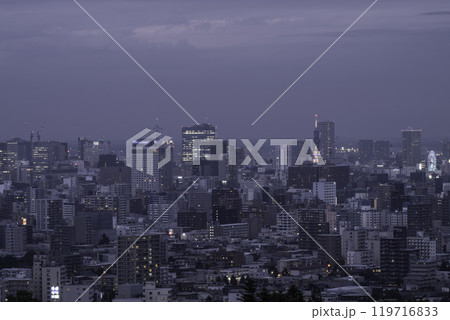 夕暮れの大都市の風景 夕暮れの大都市の風景 119716833