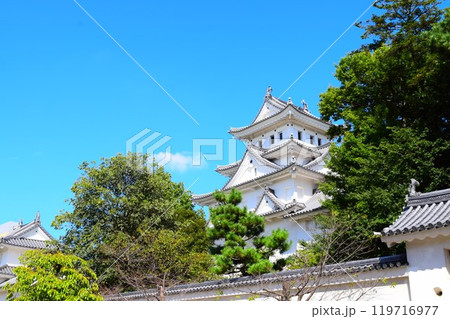 【続日本百名城】大垣城 119716977