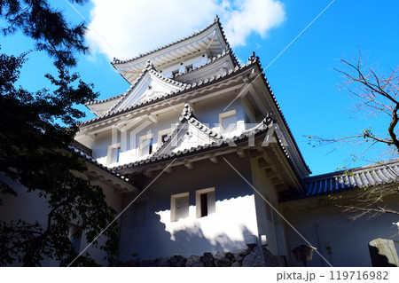 【続日本百名城】大垣城 119716982