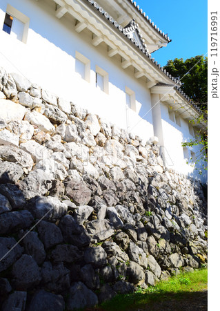 【続日本百名城】大垣城 119716991