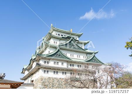 愛知県名古屋市　快晴の名古屋城天守 119717257