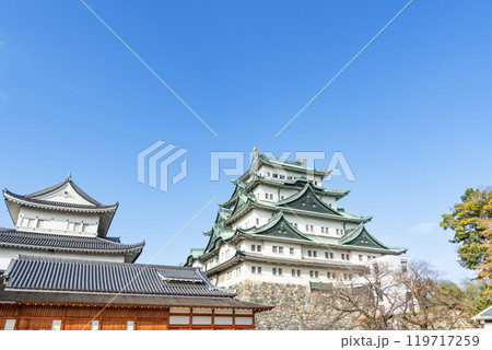 愛知県名古屋市 快晴の名古屋城天守と本丸御殿 愛知県名古屋市 快晴の名古屋城天守と本丸御殿 119717259