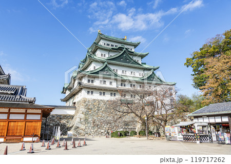 愛知県名古屋市　秋晴れの名古屋城天守 119717262