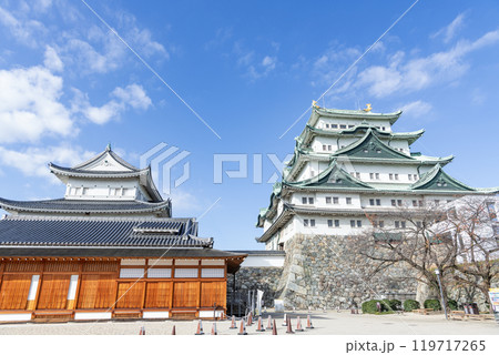 愛知県名古屋市 快晴の名古屋城天守と本丸御殿 愛知県名古屋市 快晴の名古屋城天守と本丸御殿 119717265