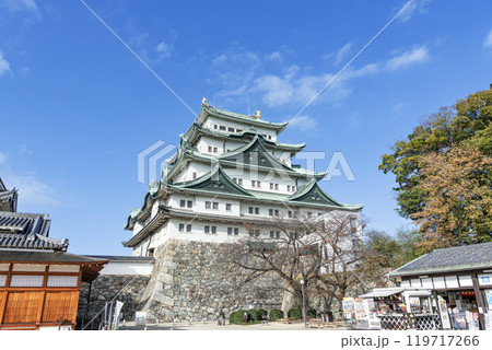 愛知県名古屋市 秋晴れの名古屋城天守 愛知県名古屋市 秋晴れの名古屋城天守 119717266