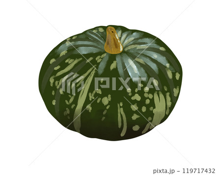 リアルなカボチャのイラスト素材のイラスト素材 [119717432] - PIXTA