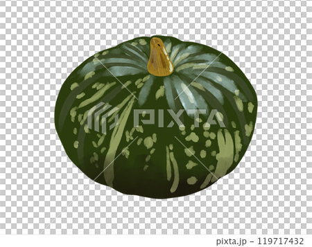 寫實南瓜插畫素材 寫實南瓜插畫素材 119717432