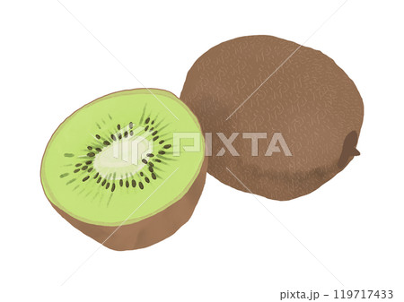 半分にカットされたキウイフルーツ 119717433