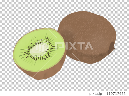 半分にカットされたキウイフルーツ 119717433