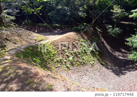 【続日本百名城】玄蕃尾城 119717448