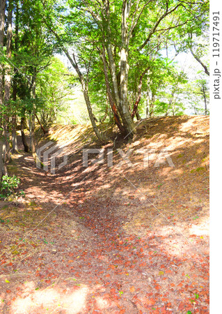 【続日本百名城】玄蕃尾城 119717491