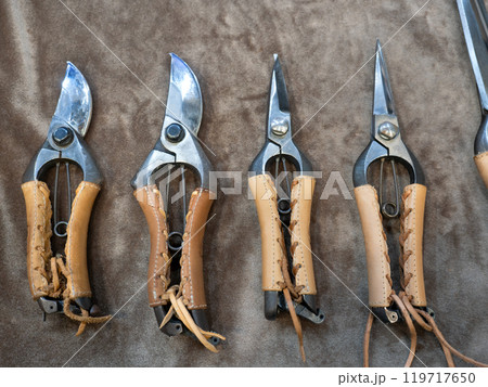 植木バサミ　剪定鋏と芽切鋏 119717650