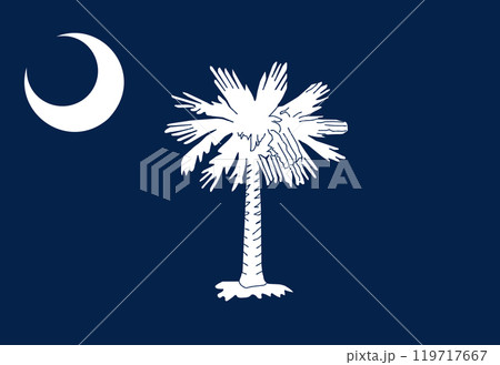 South Carolina State Flag background 119717667