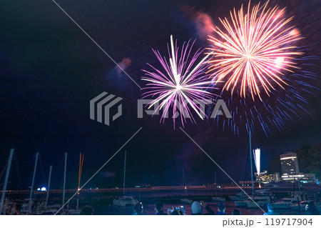 熱海の花火 119717904
