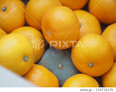 かびたミカン（みかん箱内） 119718176