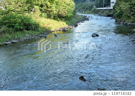 朝日射す早朝の利根川　小松発電付近の風景　みなかみ町　 119718182