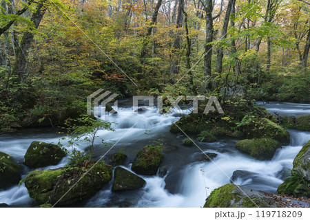紅葉の奥入瀬渓谷 紅葉の奥入瀬渓谷 119718209