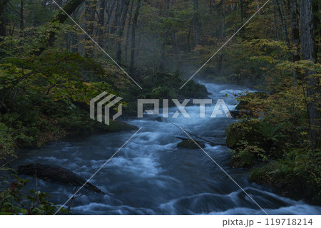 紅葉の奥入瀬渓谷 紅葉の奥入瀬渓谷 119718214