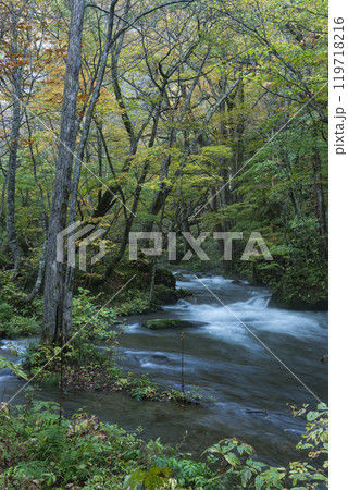 紅葉の奥入瀬渓谷 紅葉の奥入瀬渓谷 119718216