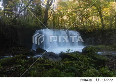 紅葉の奥入瀬渓谷 紅葉の奥入瀬渓谷 119718222