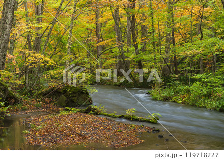 紅葉の奥入瀬渓谷 紅葉の奥入瀬渓谷 119718227