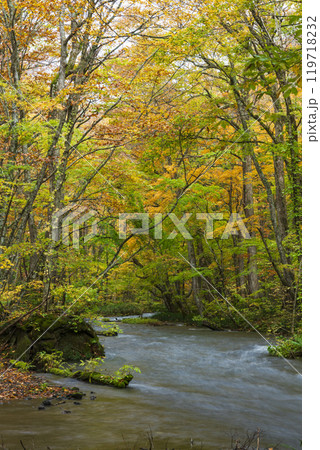 紅葉の奥入瀬渓谷 紅葉の奥入瀬渓谷 119718232