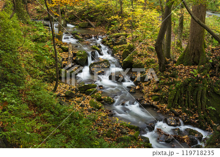 紅葉の奥入瀬渓谷 紅葉の奥入瀬渓谷 119718235