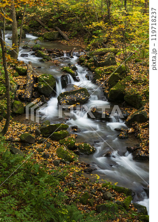 紅葉の奥入瀬渓谷 紅葉の奥入瀬渓谷 119718237