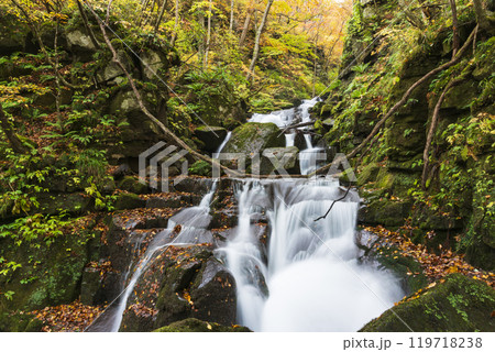 紅葉の奥入瀬渓谷 紅葉の奥入瀬渓谷 119718238